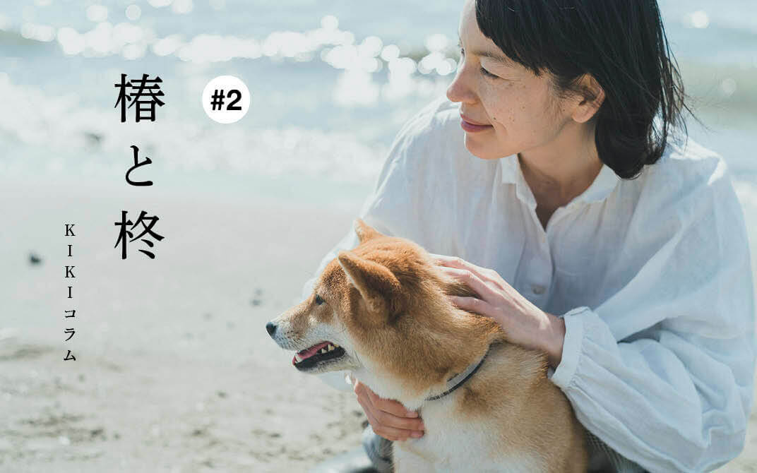 柴犬ライフ,KIKI