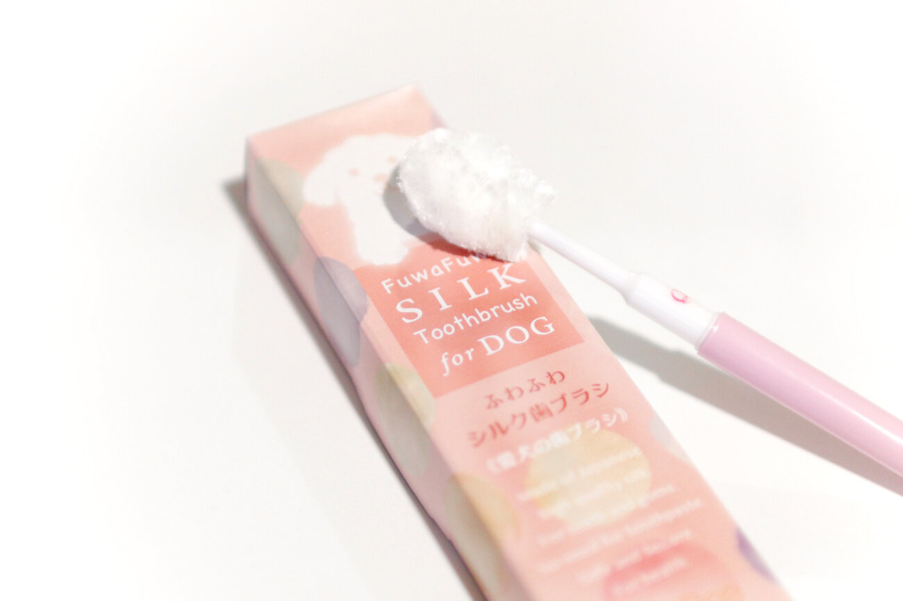 柴犬,歯みがき,ふわふわシルク歯ブラシ