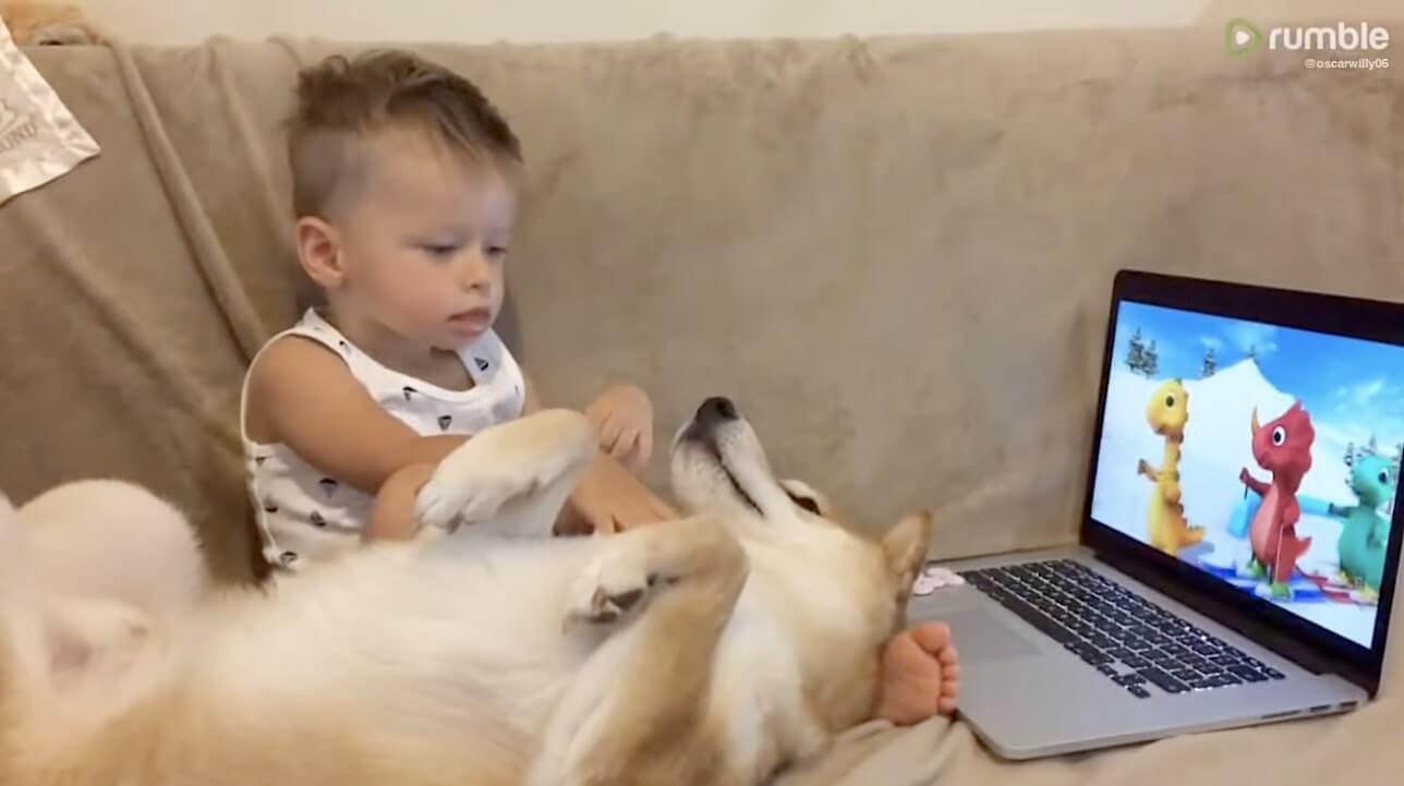 勝手に妄想しば,柴犬イラスト