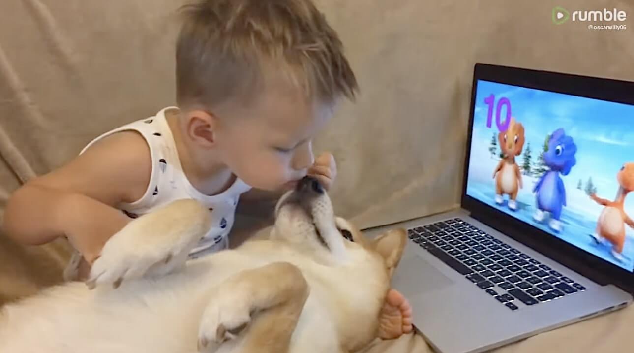 勝手に妄想しば,柴犬イラスト