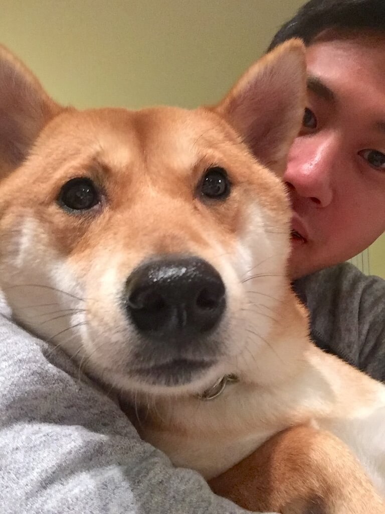 柴犬ライフ,Ryucrew,カナダ,YouTube