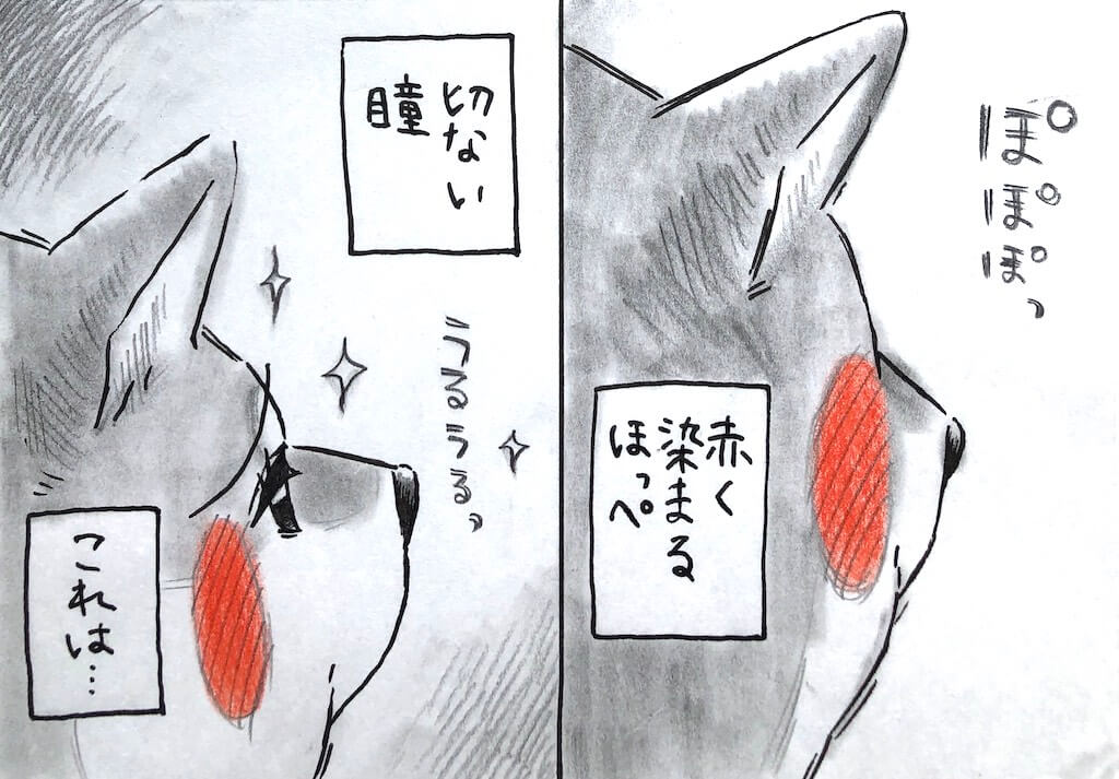 勝手に妄想しば,柴犬イラスト