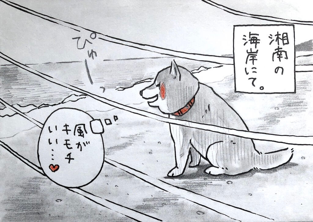 柴犬イラスト