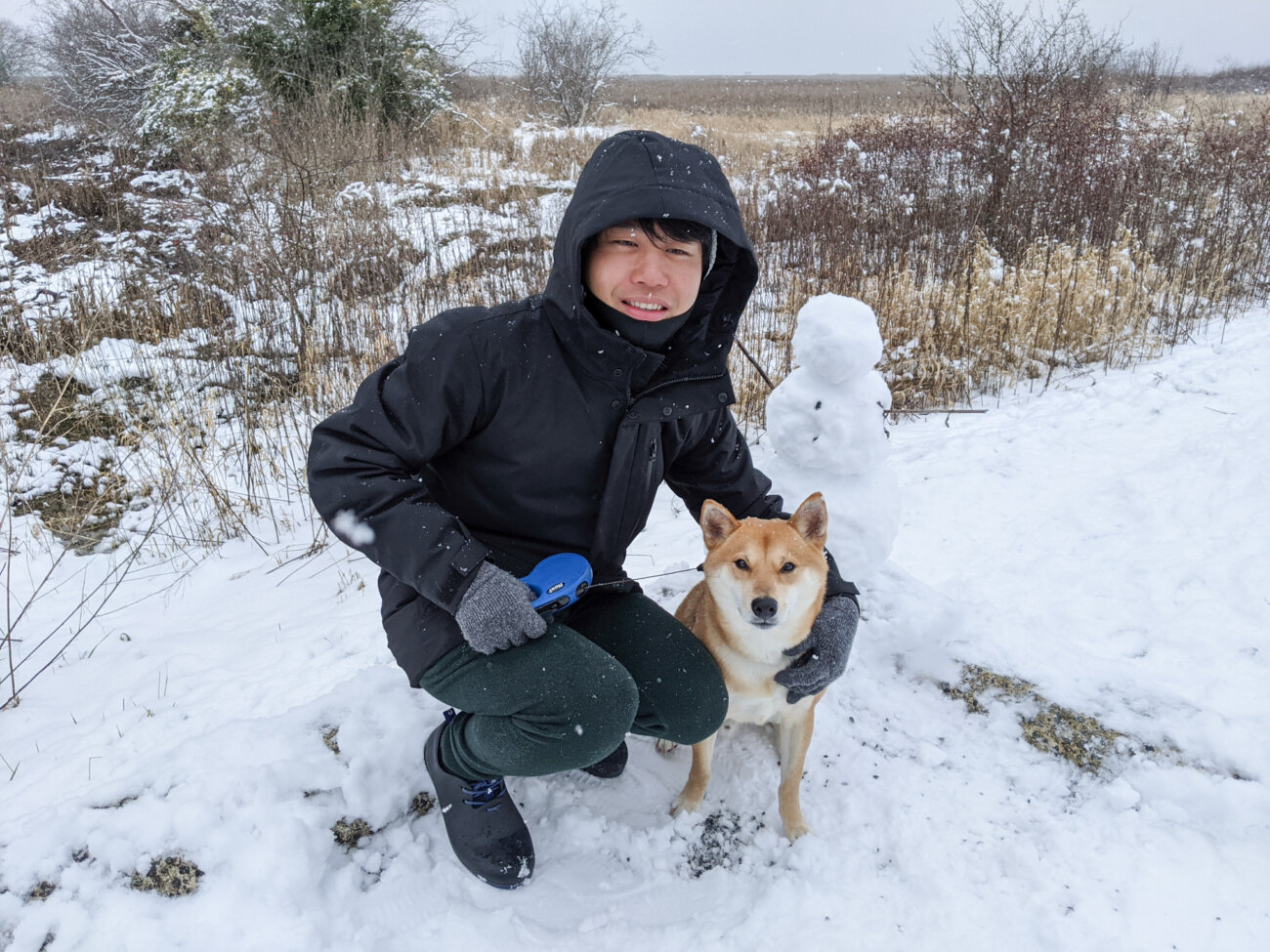 柴犬ライフ,Ryucrew,カナダ,YouTube