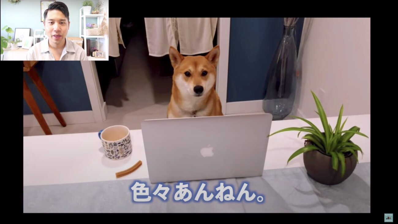 柴犬ライフ,Ryucrew,カナダ,YouTube