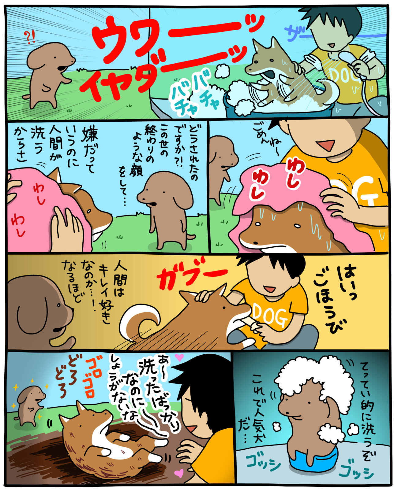 柴犬,こいぬ,うかうか,マンガ