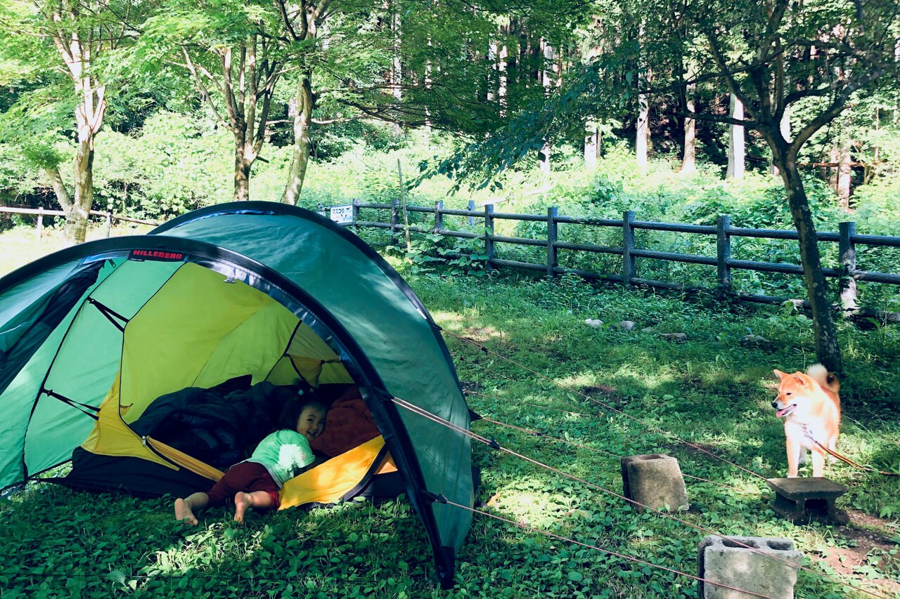 柴犬ライフ,kiki,モデル