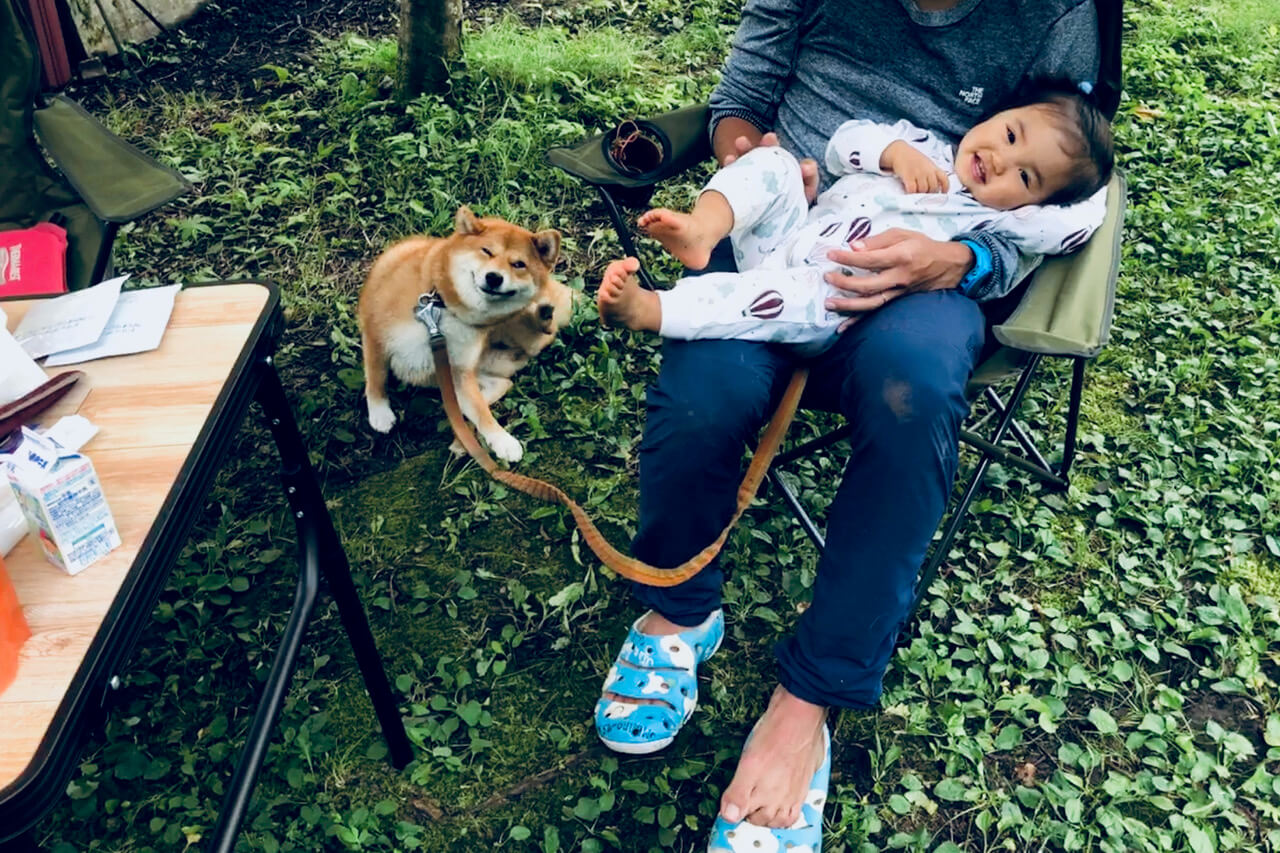 柴犬ライフ,kiki,モデル