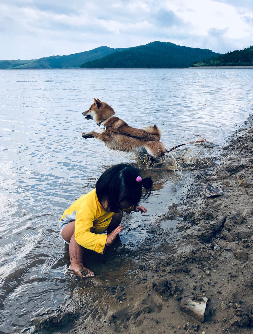 柴犬ライフ,kiki,モデル