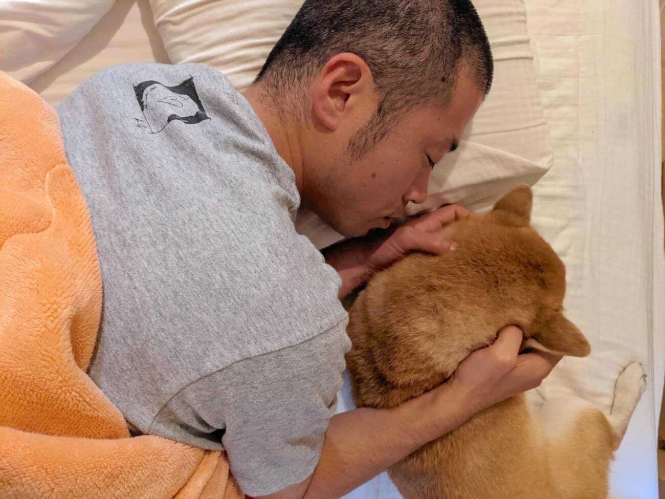 柴犬ライフ,アキナ山名,おまめ