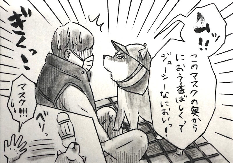 勝手に！妄想しば