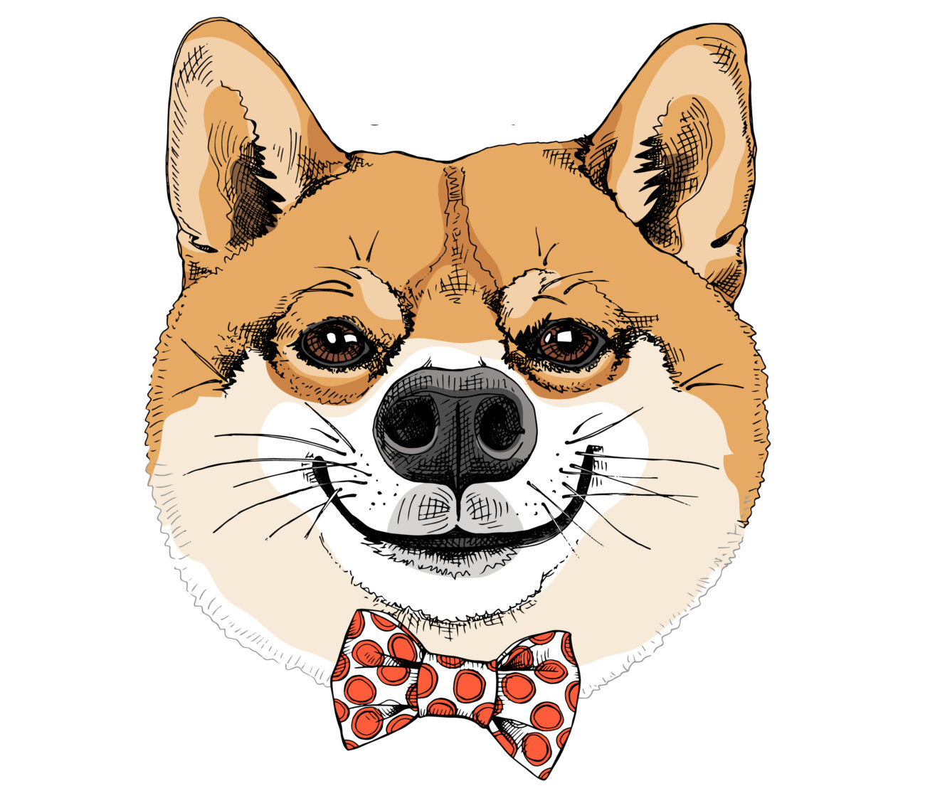 柴犬,アンチノール