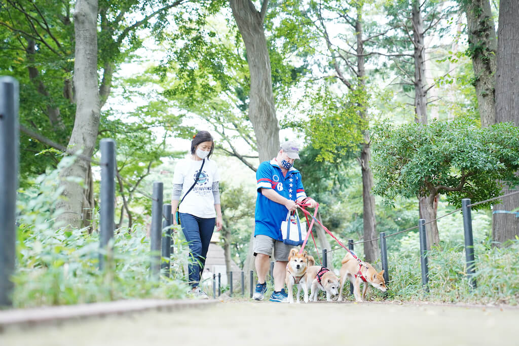 柴犬とその家族