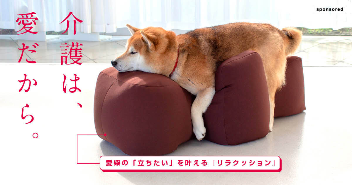 高齢犬のリハビリ用姿勢サポートクッション Mサイズ 撥水カバー付属