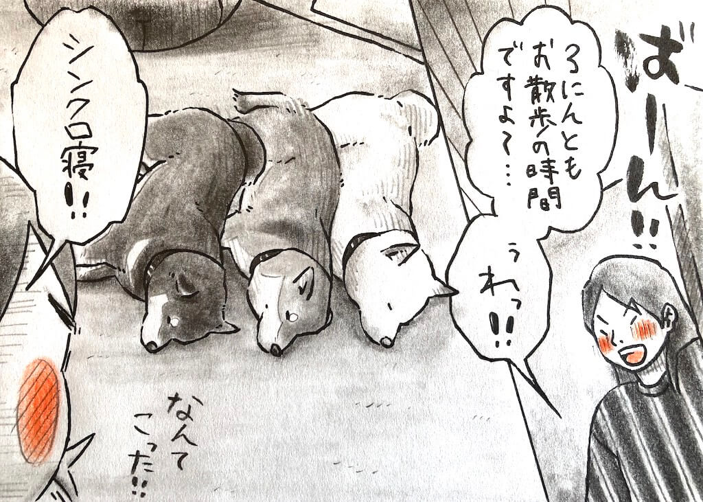 柴犬イラスト,勝手に妄想しば