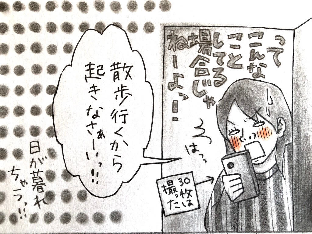 柴犬イラスト,勝手に妄想しば