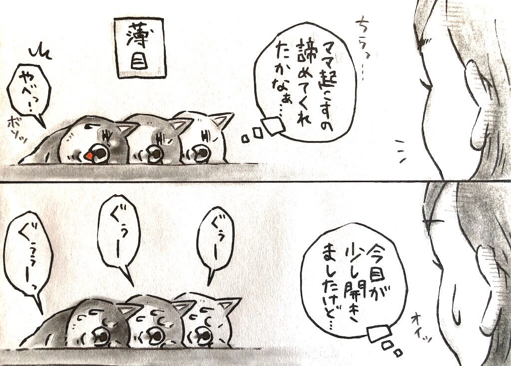 柴犬イラスト,勝手に妄想しば