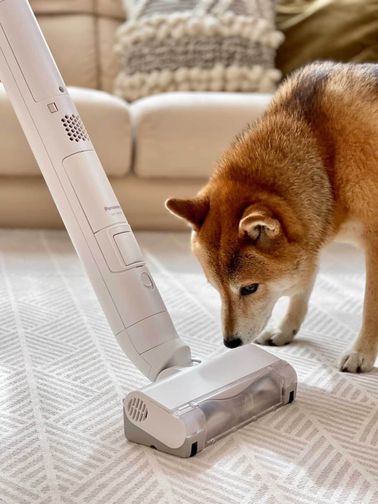 柴犬,パナソニック,からまないブラシ,掃除機