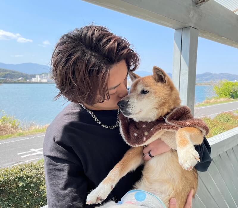 柴犬とその家族