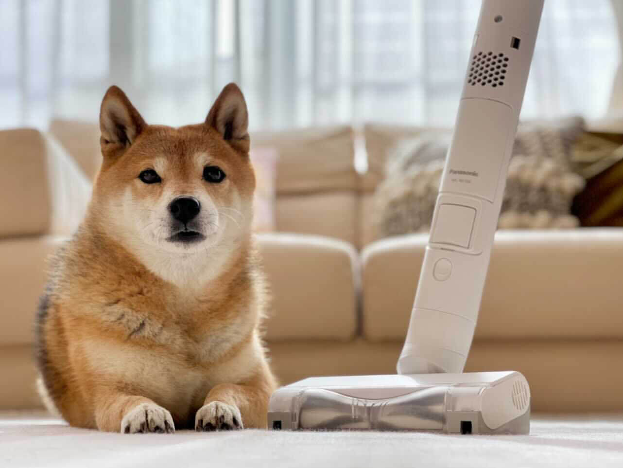 柴犬,パナソニック,からまないブラシ,掃除機