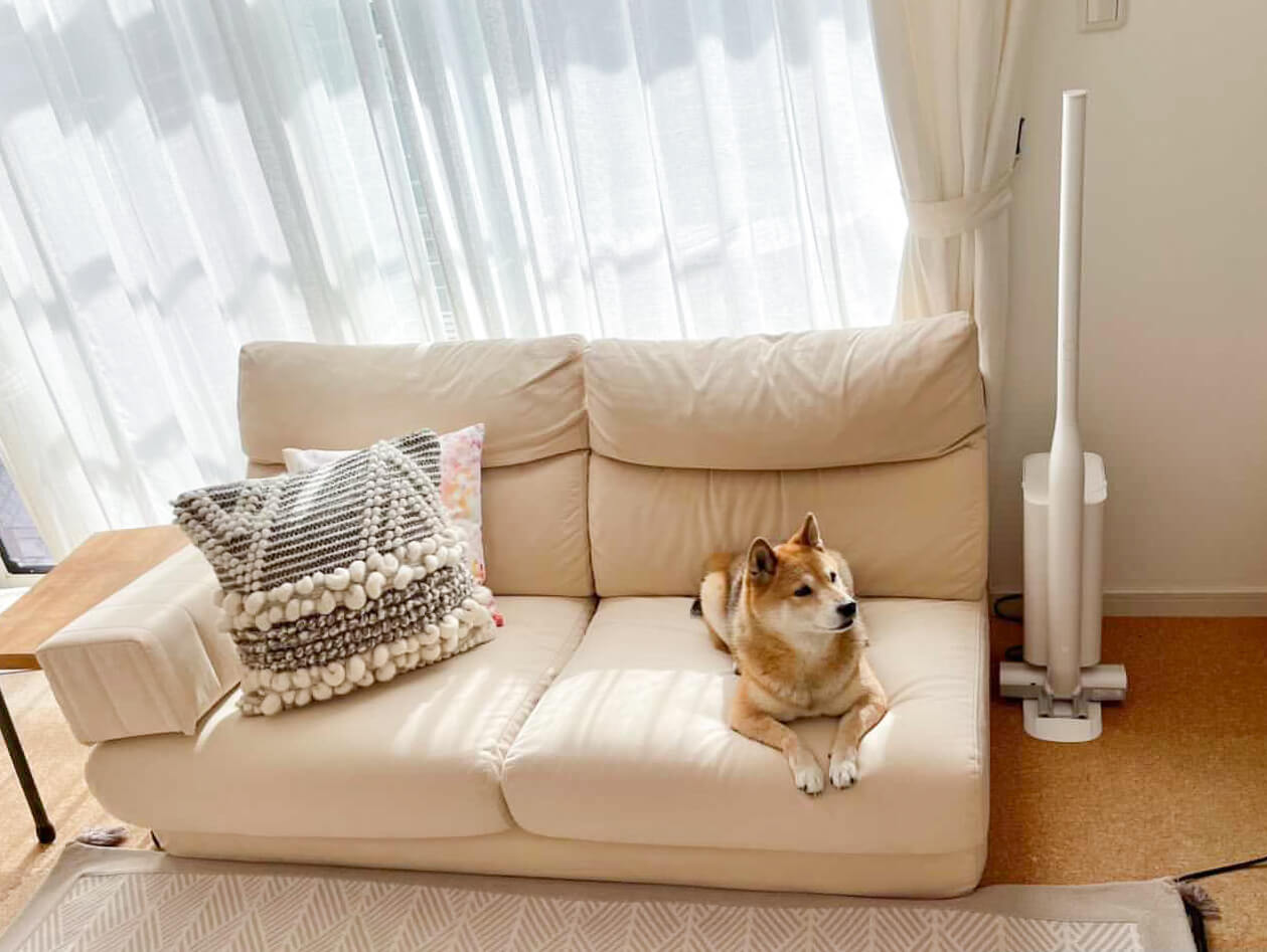 柴犬,パナソニック,からまないブラシ,掃除機