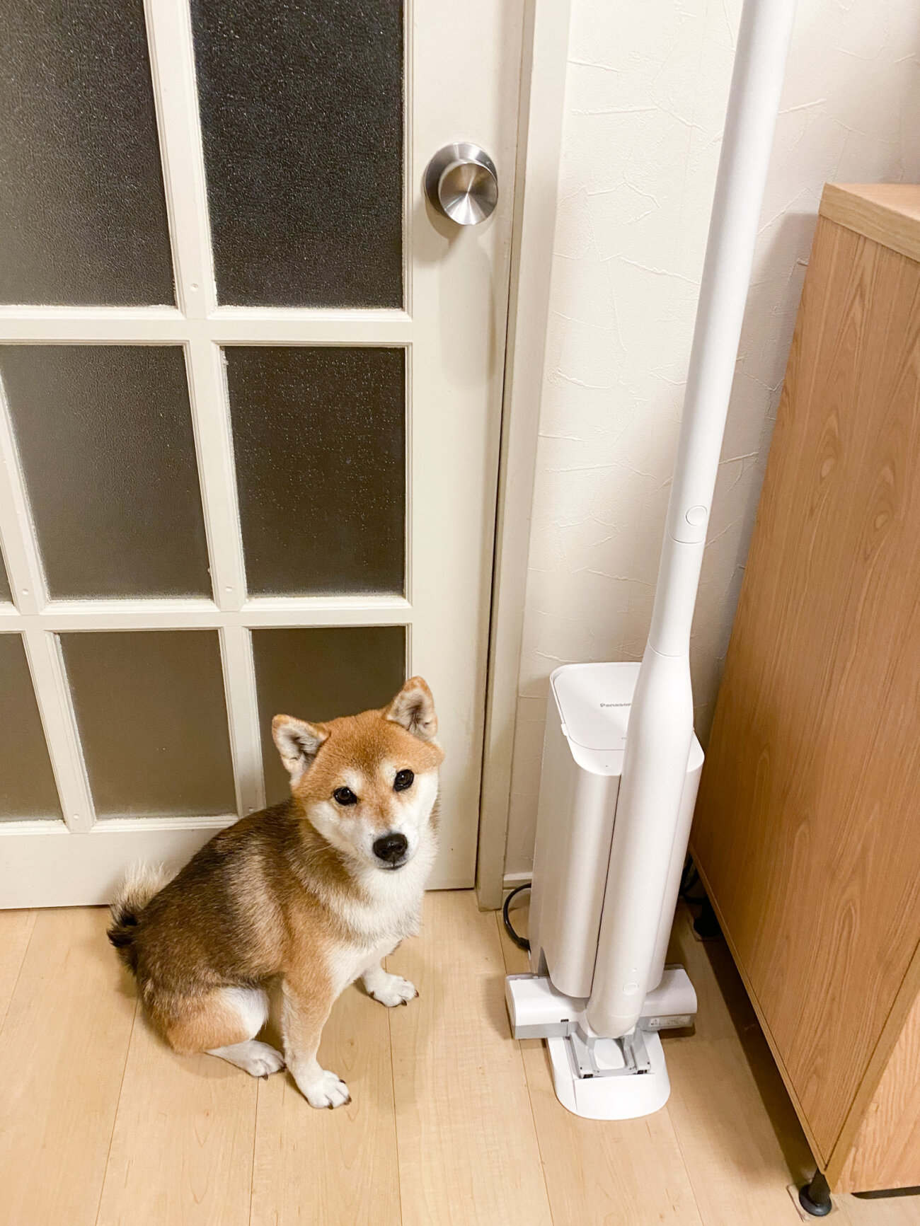 柴犬,パナソニック,からまないブラシ,掃除機