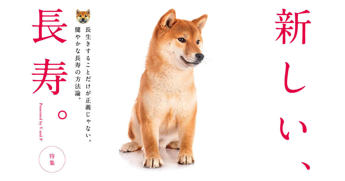 柴犬,サプリ,アンチノール