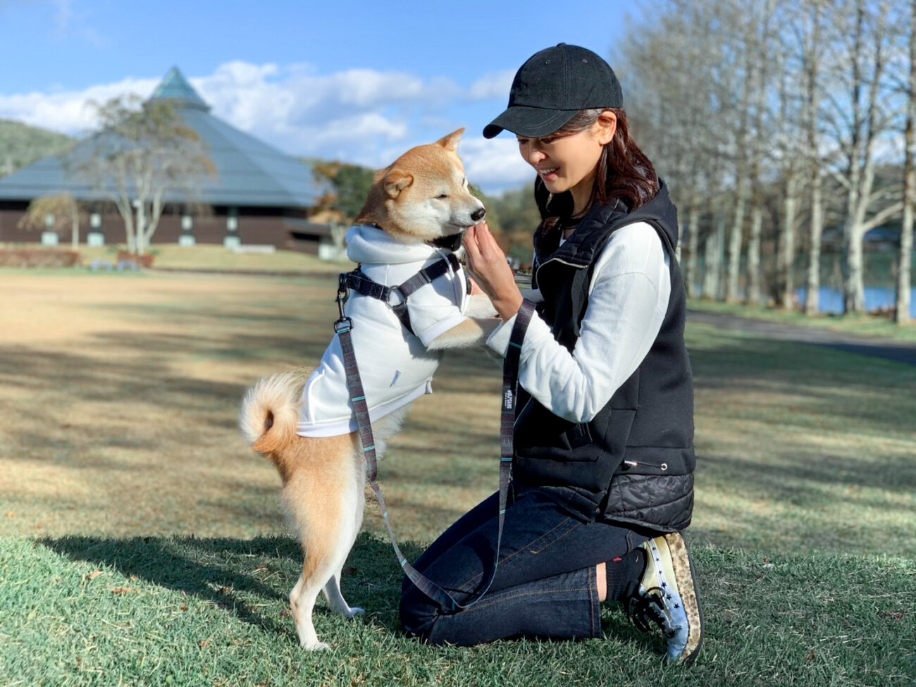 柴犬,リード,ハーネス,首輪,ウルフギャング