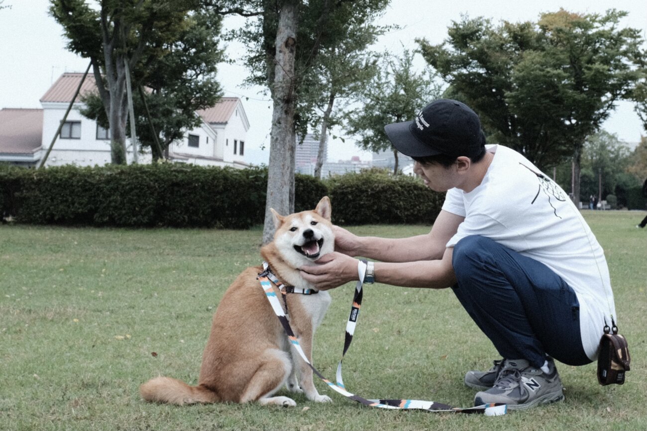 柴犬,リード,ハーネス,首輪,ウルフギャング