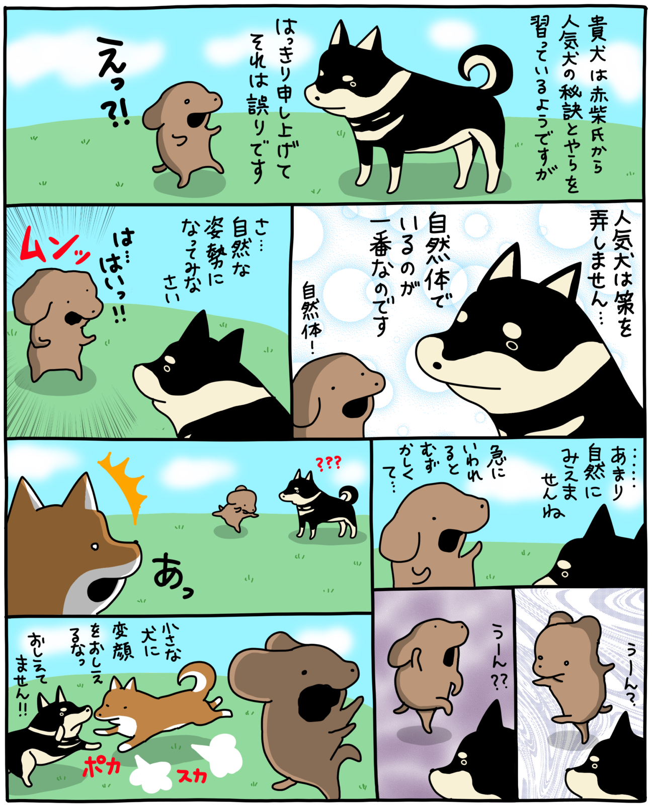 柴犬,マンガ,うかうか