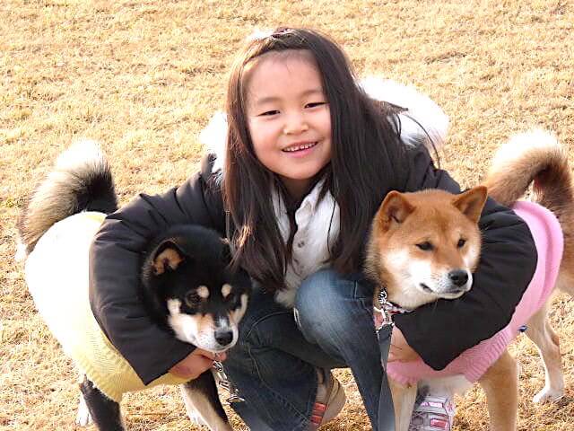 柴犬と家族