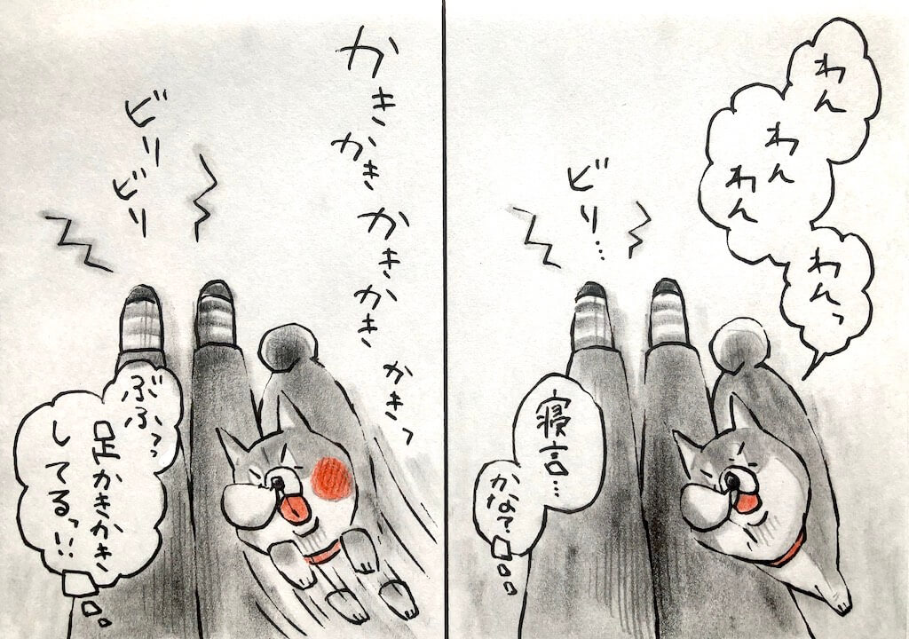 勝手に妄想しば