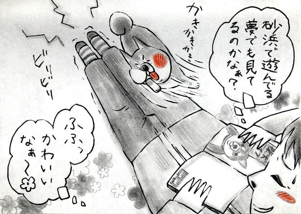 勝手に妄想しば