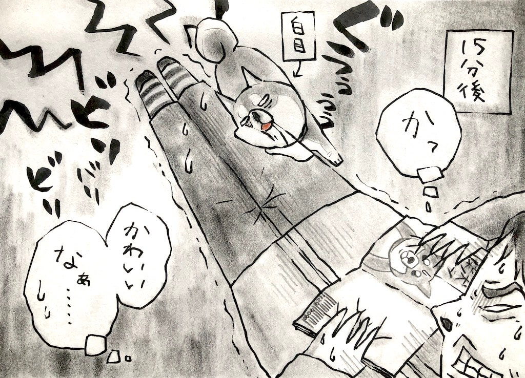 勝手に妄想しば