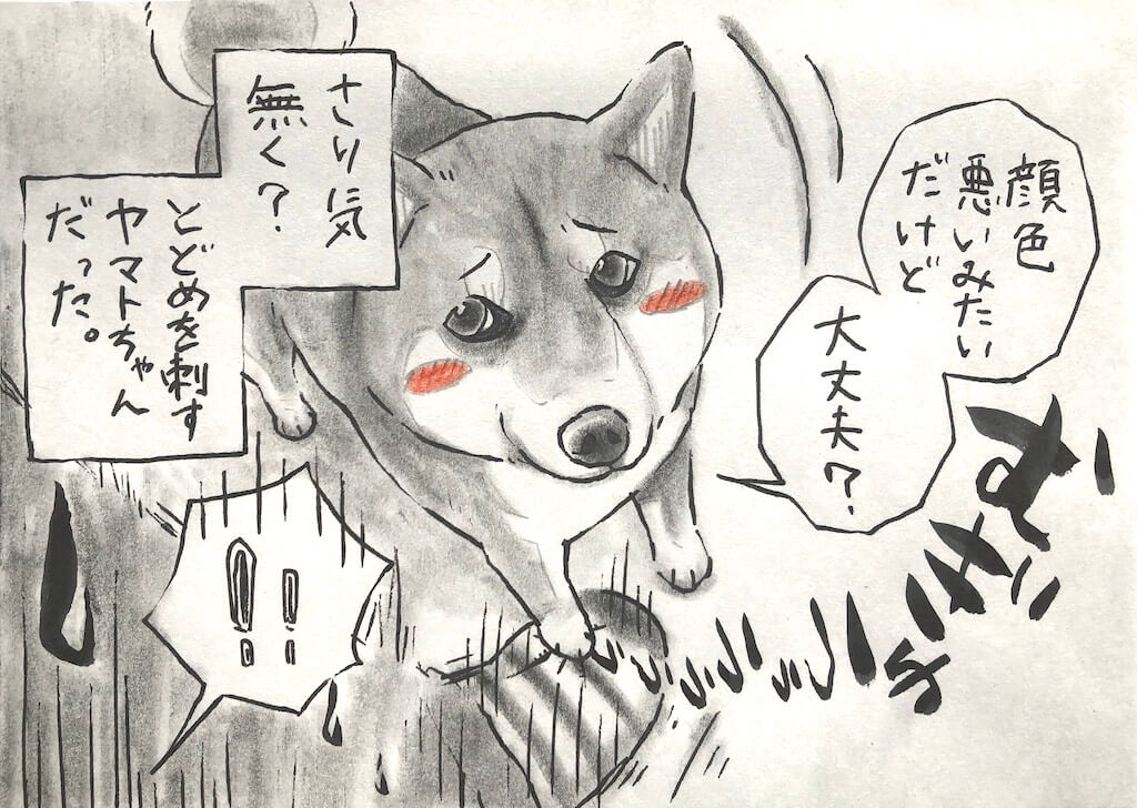 勝手に妄想しば