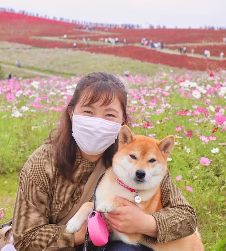 柴犬と家族