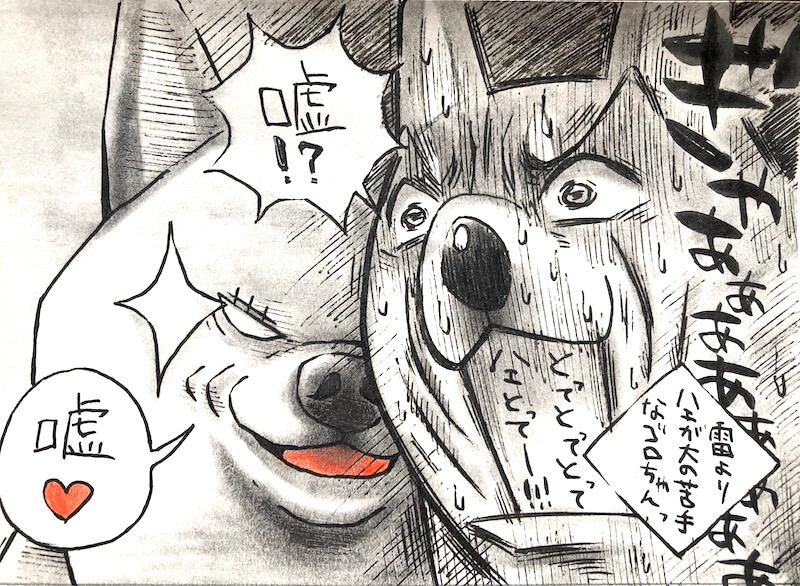 柴犬漫画