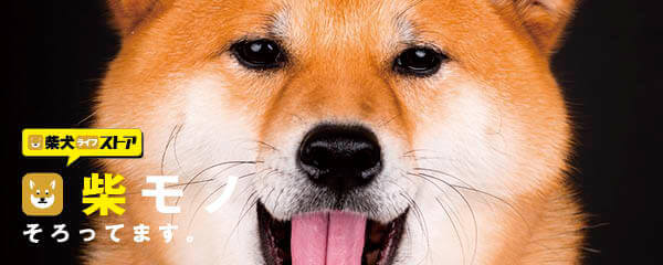 柴犬ライフ,キャンドル