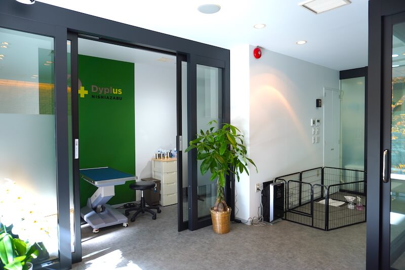 Dyplus, 動物病院