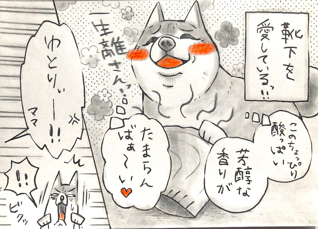 柴犬イラスト