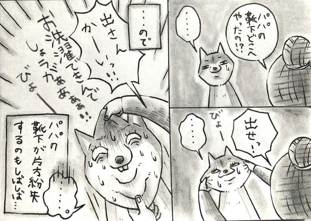 柴犬ライフ