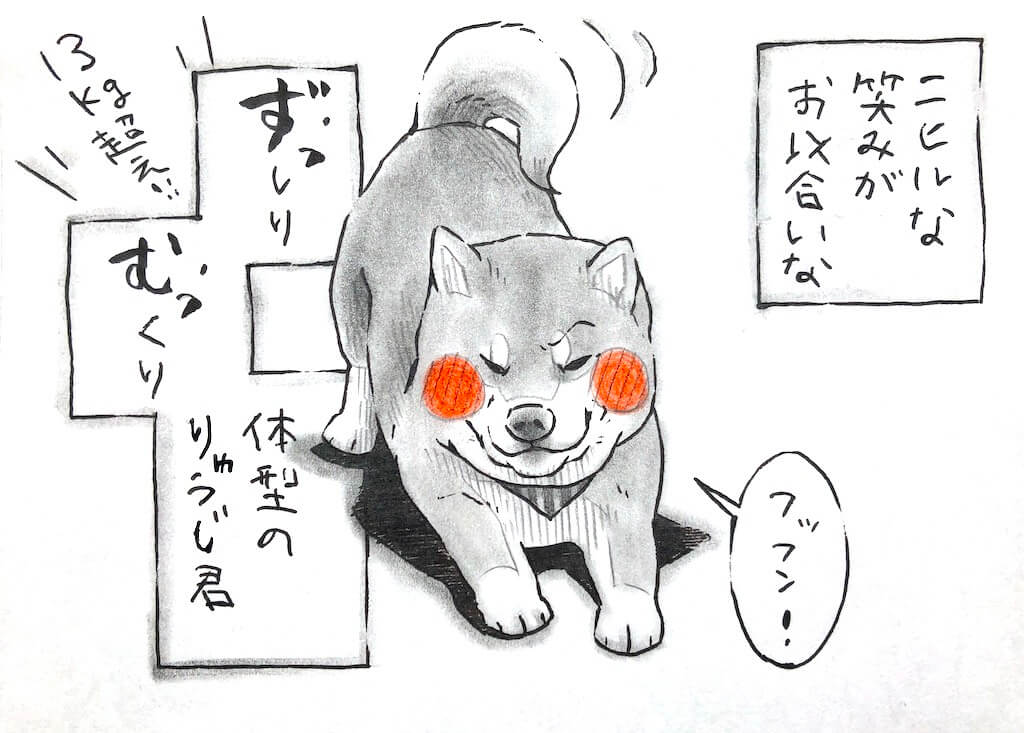 柴犬イラスト