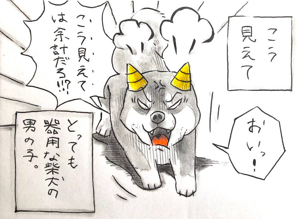 柴犬,勝手に妄想しば