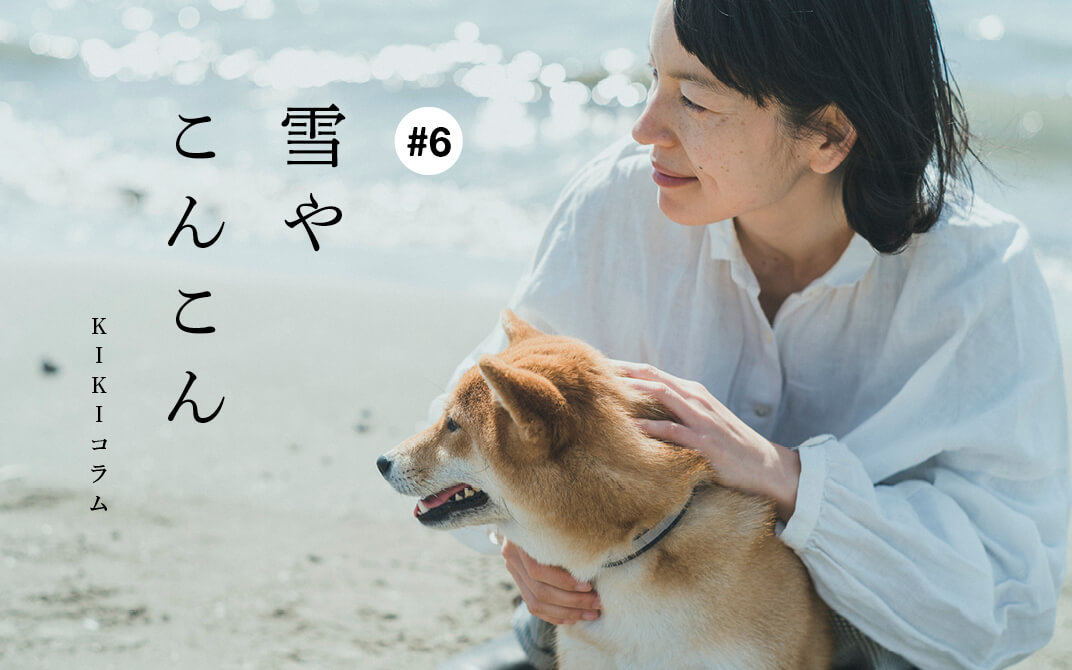 柴犬ライフ,kiki,モデル