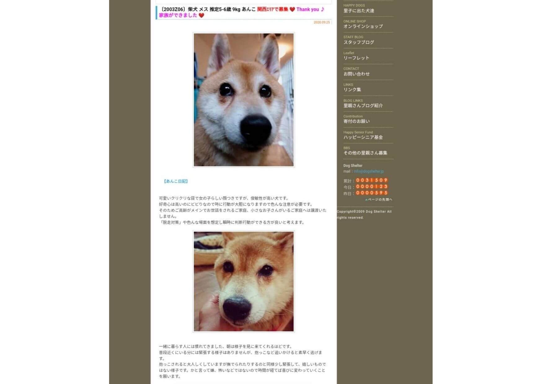 保護犬サイト