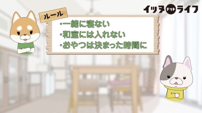 柴犬,イッヌドットライフ,動画