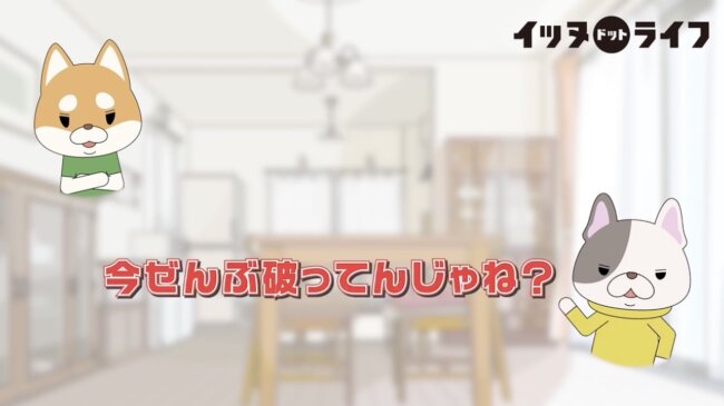 柴犬,イッヌドットライフ,動画