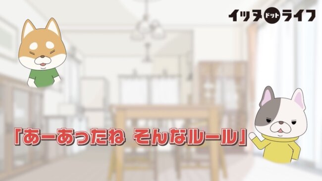 柴犬,イッヌドットライフ,動画