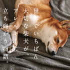 世界でいちばん大切な柴犬が、アレルギーに立ち向かう物語【Ta-Taってなんだ？】