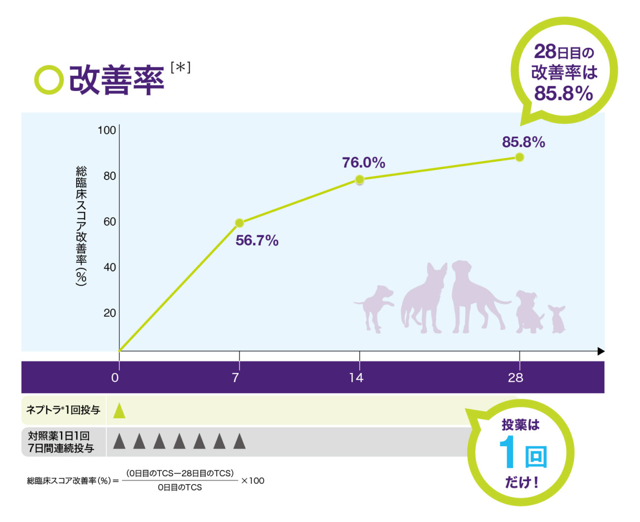 柴犬,外耳炎,ネプトラ